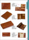 pag11.jpg (126107 byte)